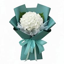 Букет цветов из:  Гортензия в Новогорном